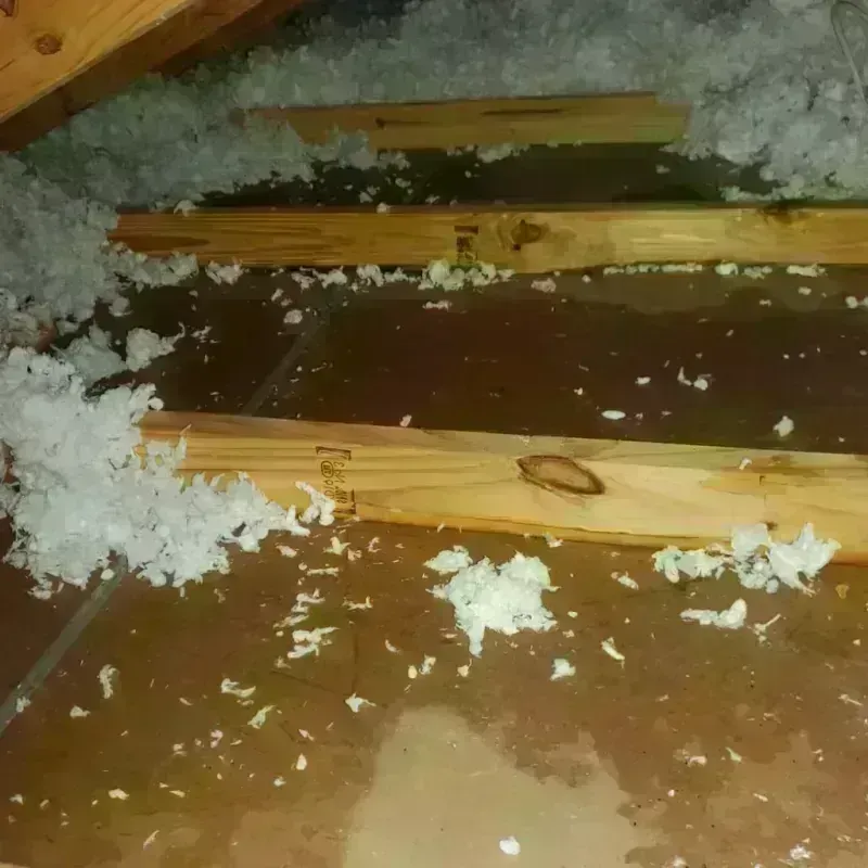 Attic Water Damage in McCook County, SD