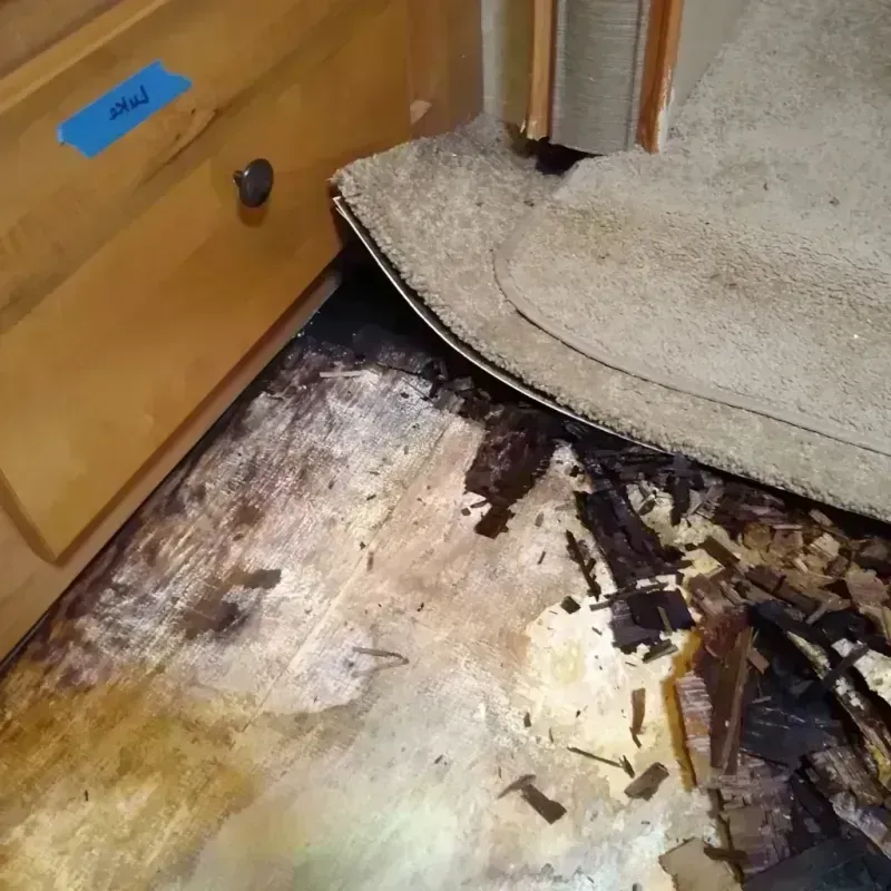 Wood Floor Water Damage in McCook County, SD